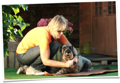 hundeflitzer | Tierphysiotherapie Iris Nolte | Gelenkprüfung