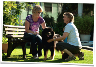 hundeflitzer | Tierphysiotherapie Iris Nolte | Gespräch mit dem Hundebesitzer